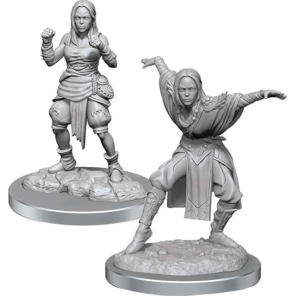 Pathfinder Battles Deep Cuts Minis: Half-Elf Monk Females Wave 21 - Out of Play