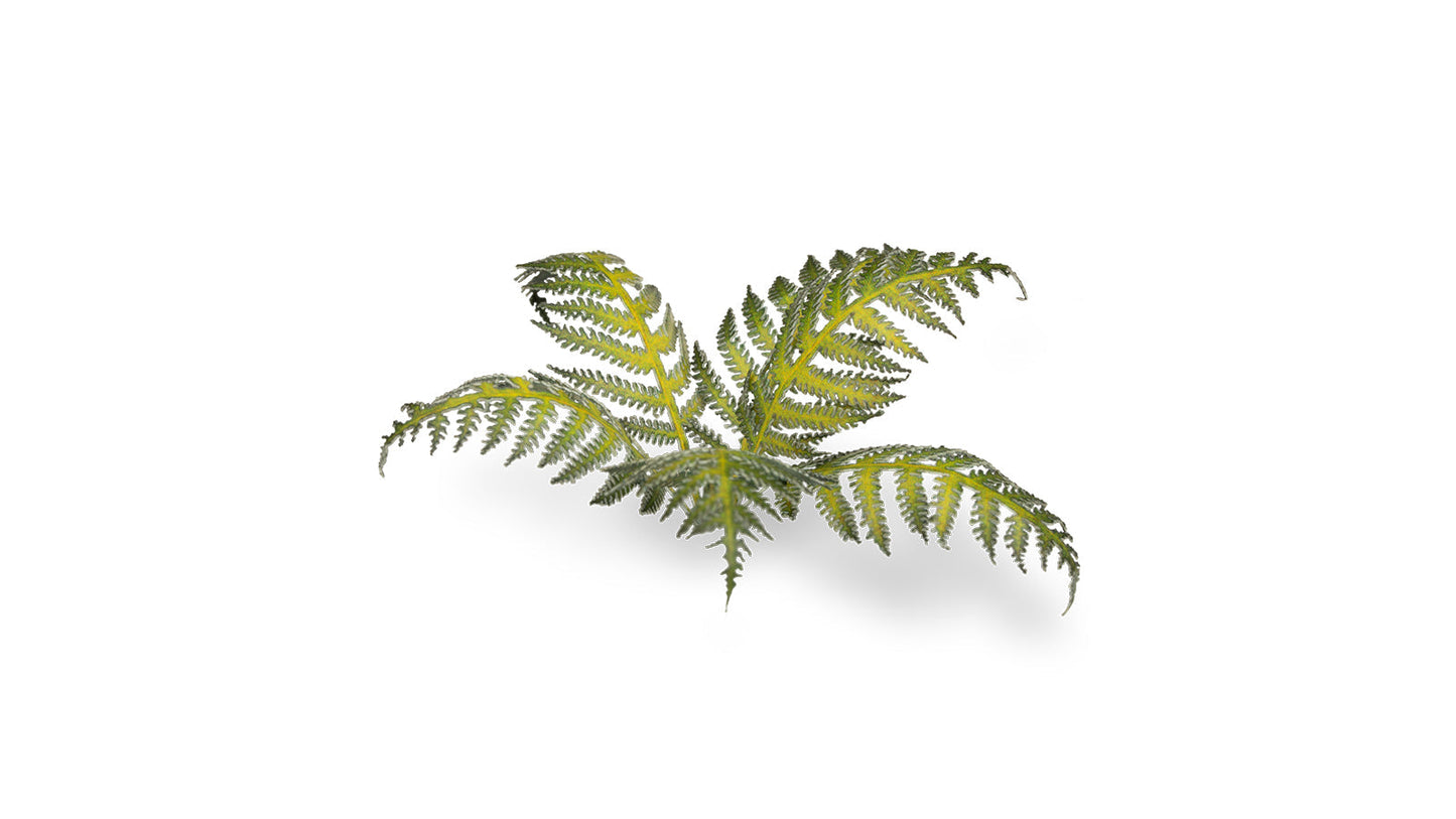 Gamers Grass - Laser Plants - Bracken - Out of Play