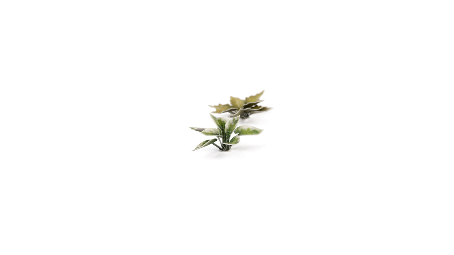Gamers Grass - Laser Plants - Plantain Lily - Out of Play