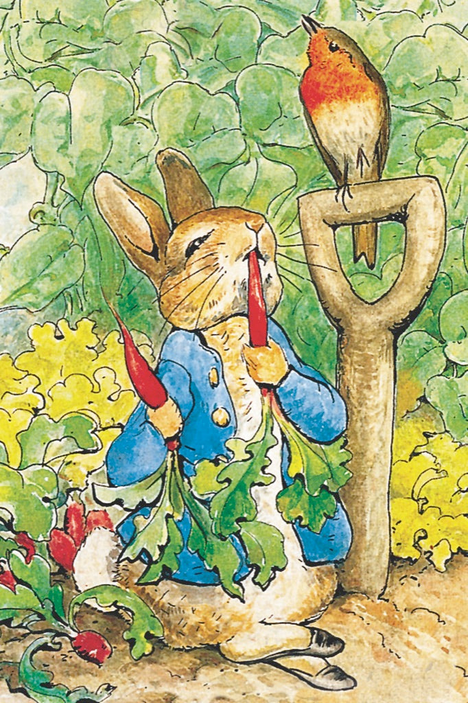 Peter Rabbit Mini - Out of Play