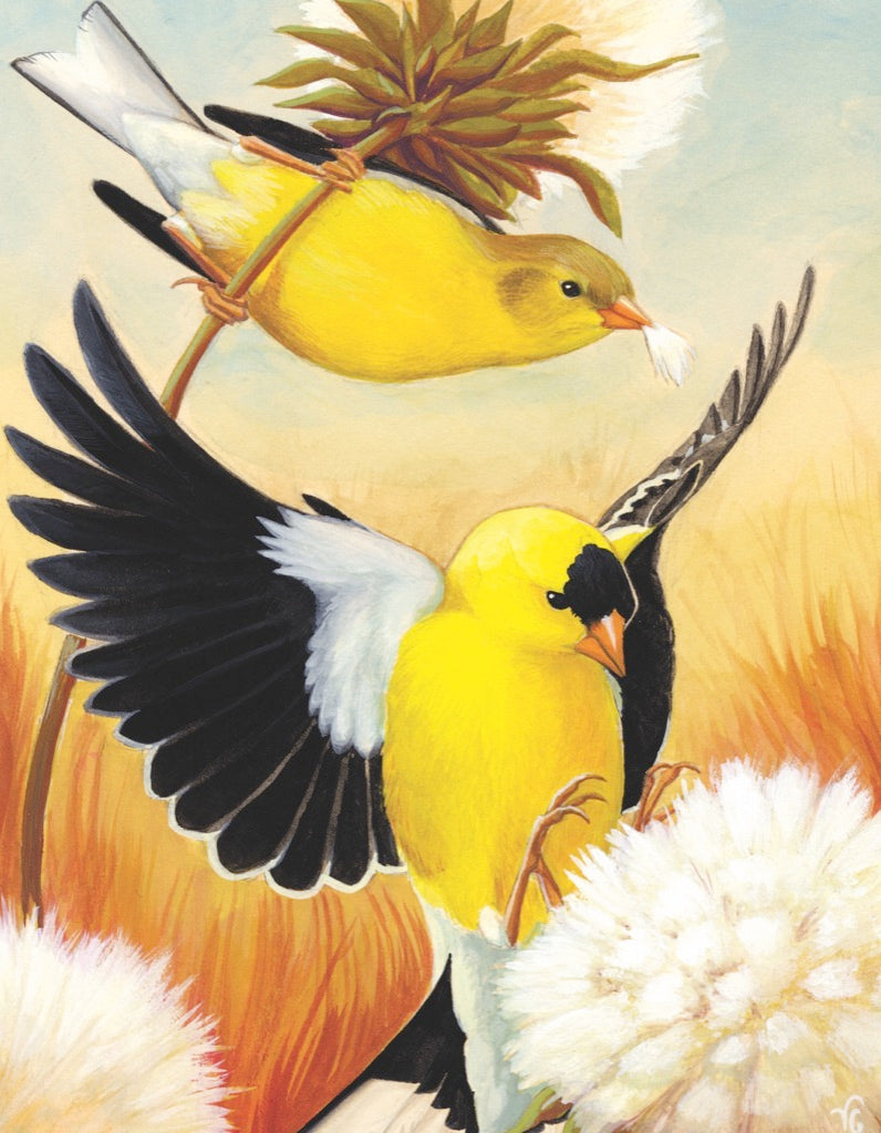 American Goldfinch Mini - Out of Play