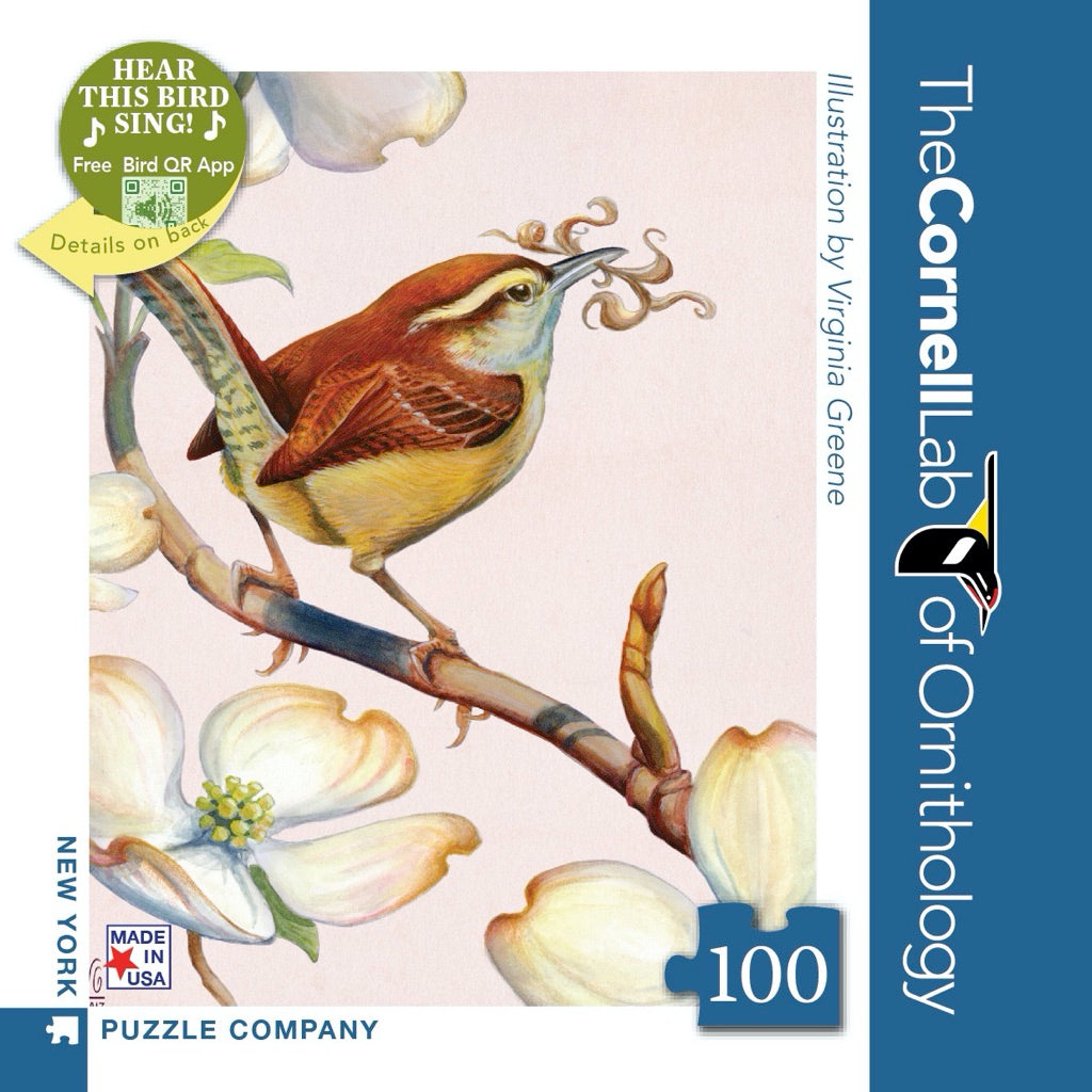 Carolina Wren Mini - Out of Play
