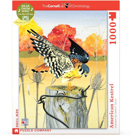 American Kestrel - Out of Play