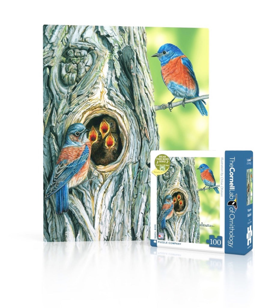 Western Bluebird Mini - Out of Play