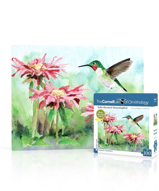 Ruby-throated Hummingbird Mini - Out of Play