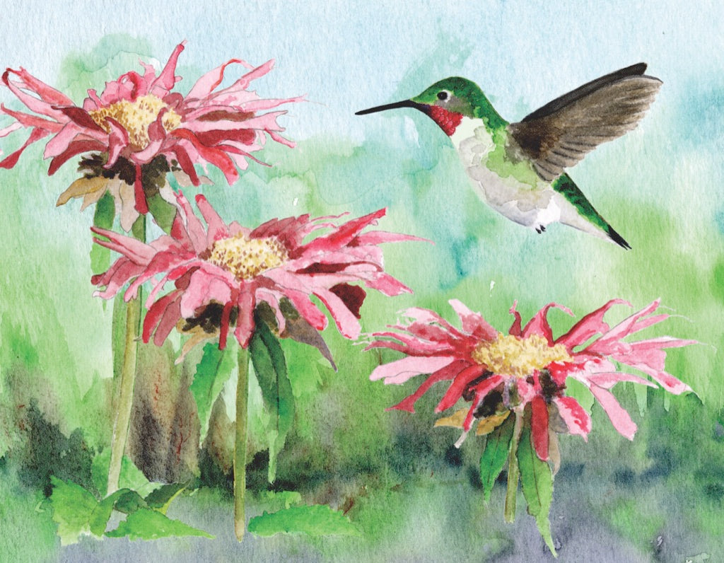 Ruby-throated Hummingbird Mini - Out of Play