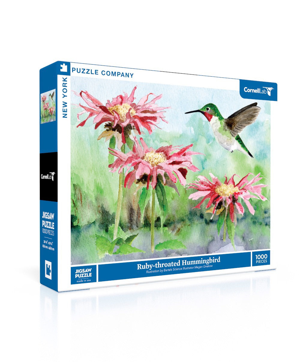 Ruby-throated Hummingbird - Out of Play
