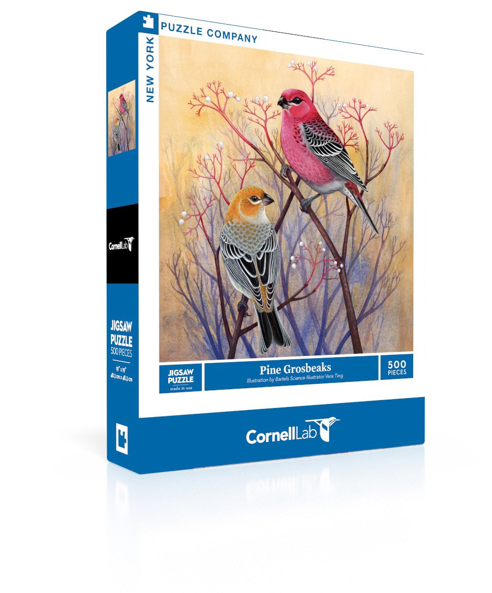 Pine Grosbeaks - Out of Play