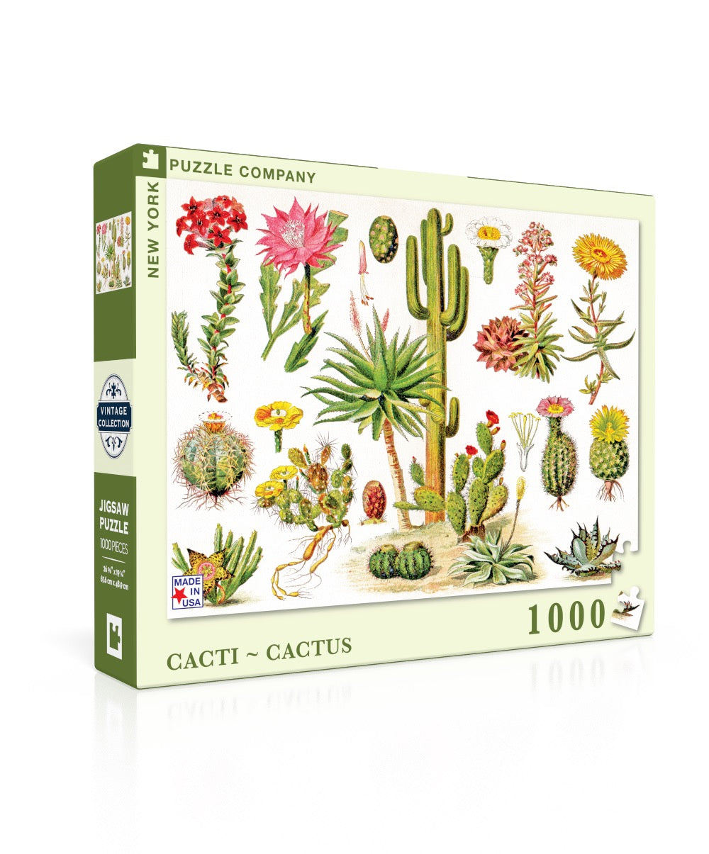 Cacti ~ Cactus - Out of Play