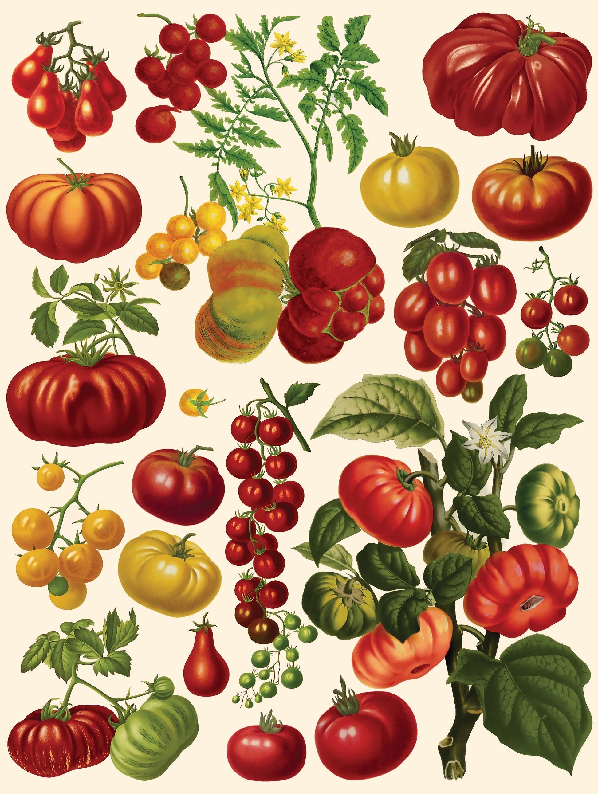 Tomatoes New York Puzzle Company