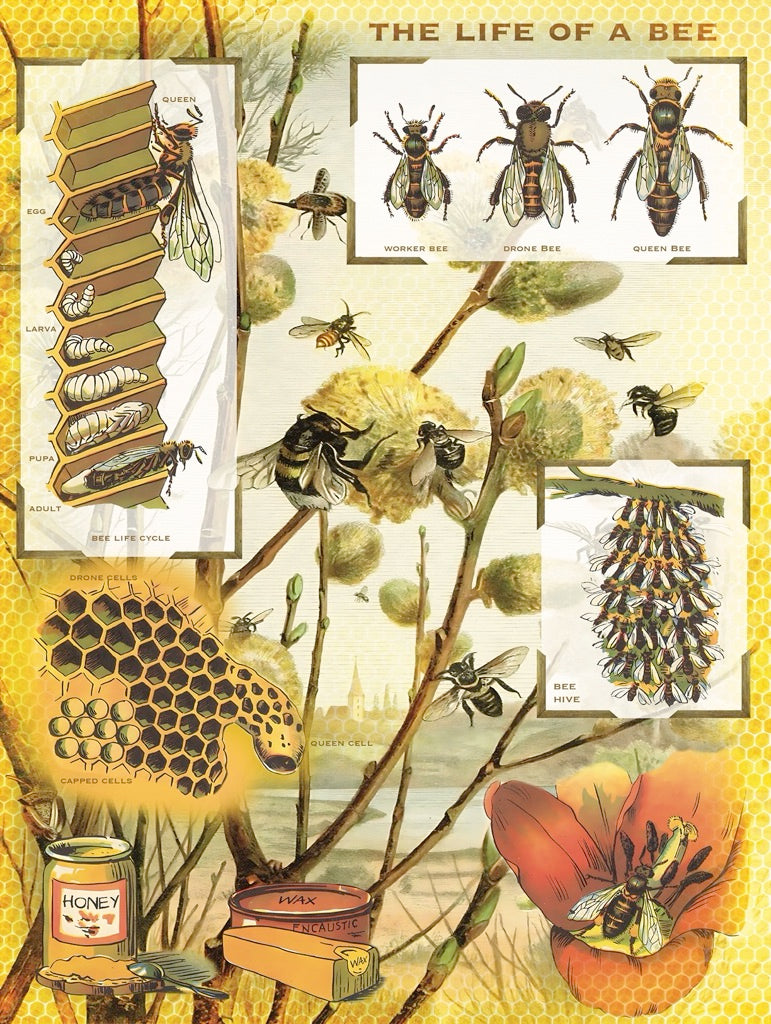 Bees & Honey New York Puzzle Company