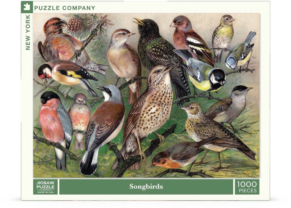 Songbirds - Out of Play