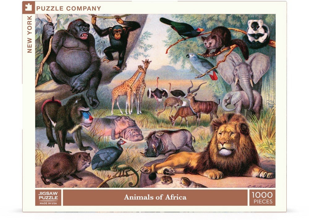 Animals of Africa - Out of Play