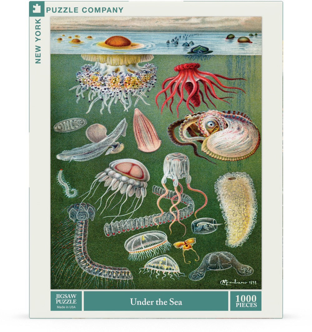 Under the Sea - Out of Play