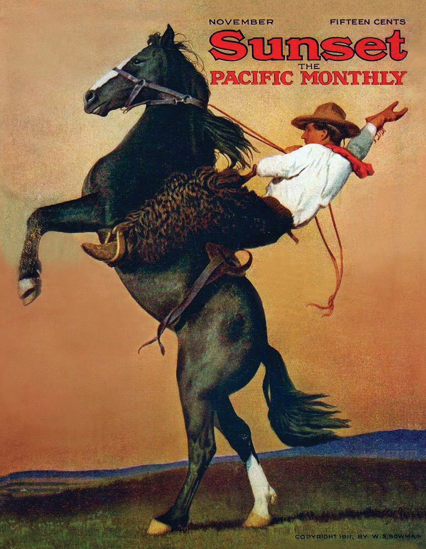 Bucking Bronco Mini - Out of Play