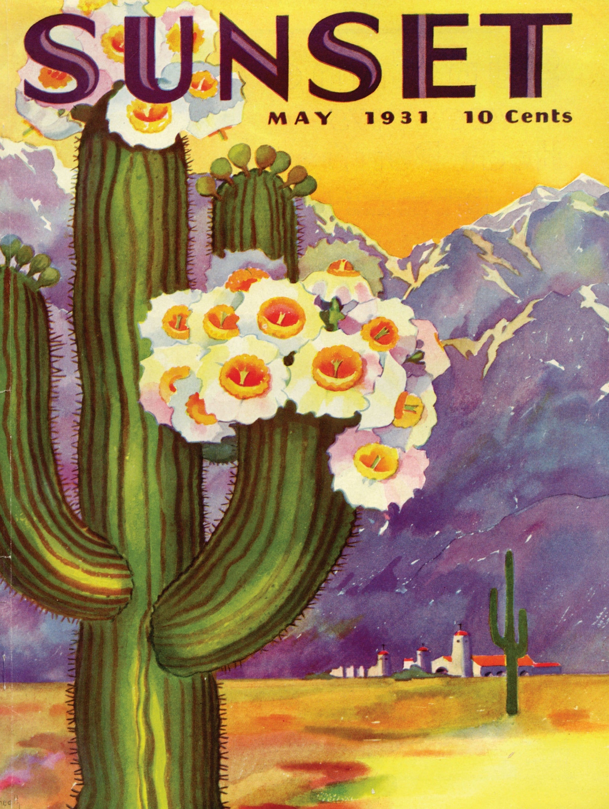 Cactus Blooms - Out of Play