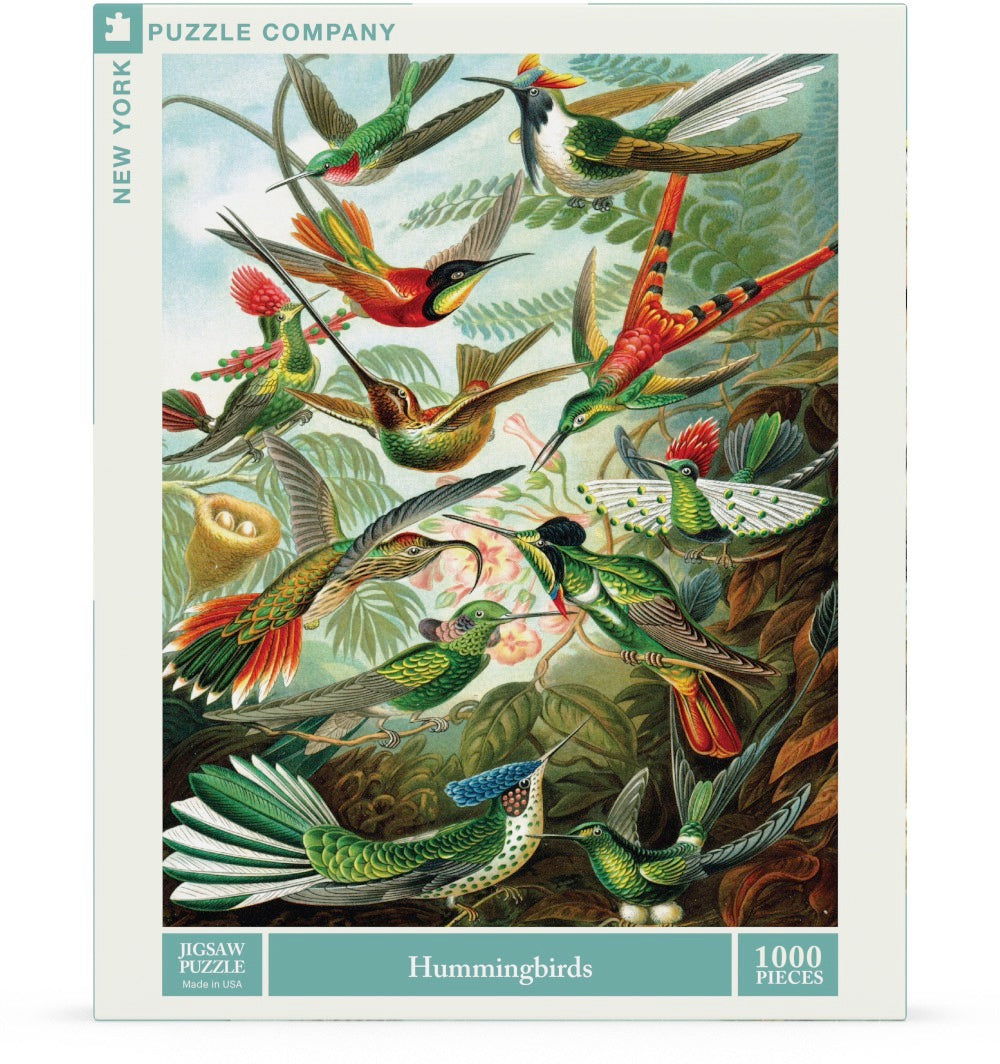 Hummingbirds - Out of Play