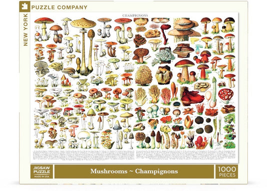 Mushrooms ~ Champignons - Out of Play