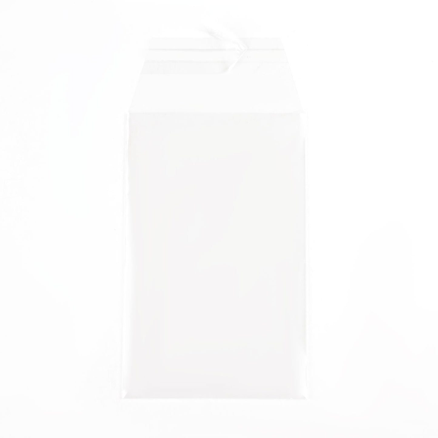 Perfect Fit PSA Graded Card Sleeves (100 count) The Pennysleever