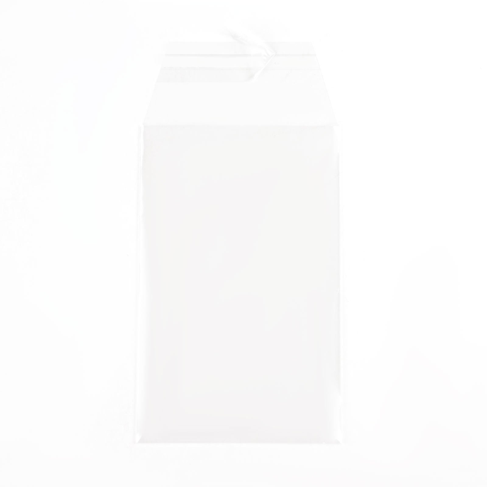 Perfect Fit PSA Graded Card Sleeves (100 count) - Out of Play