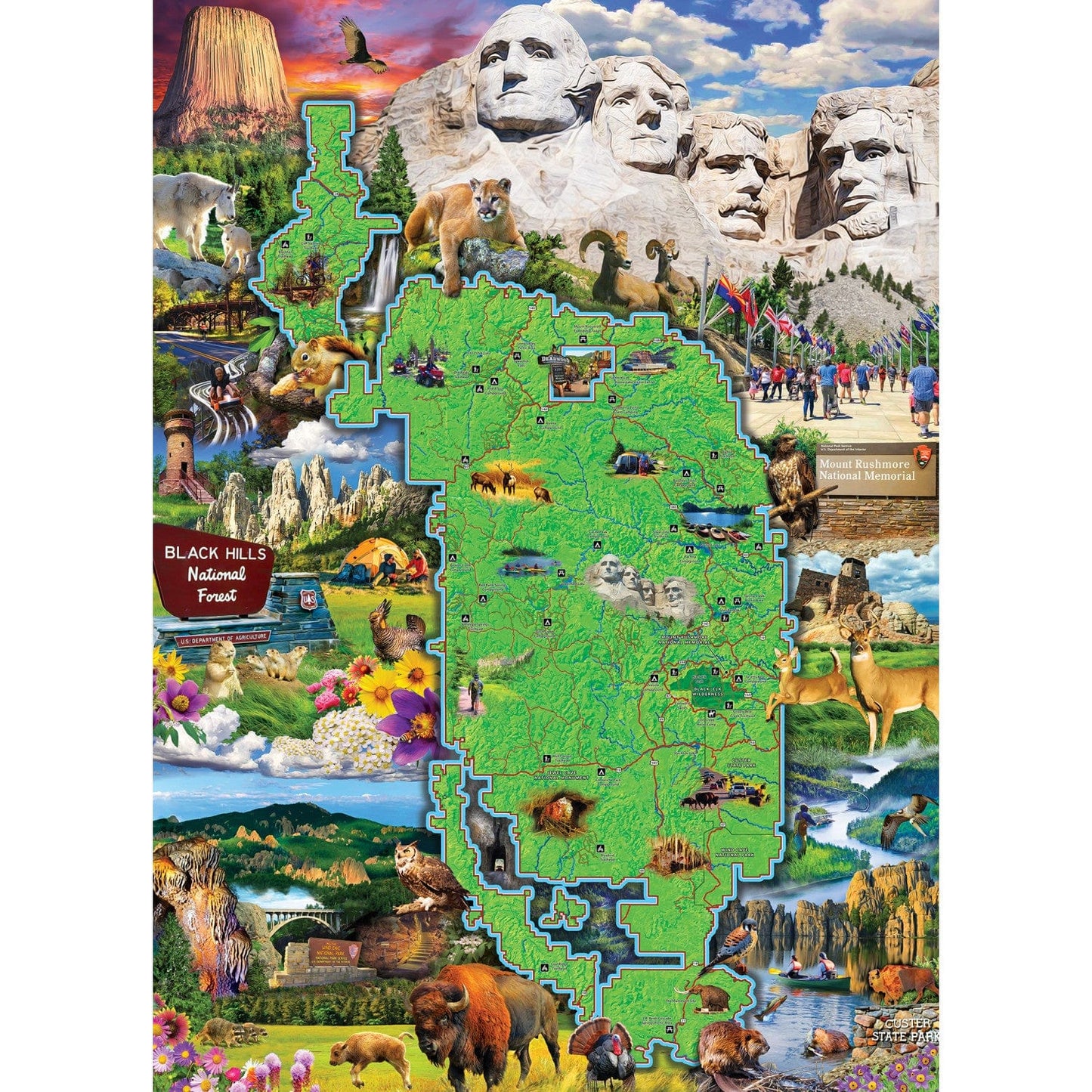 Black Hills National Forest 1000 Piece Jigsaw Puzzle - Out of Play