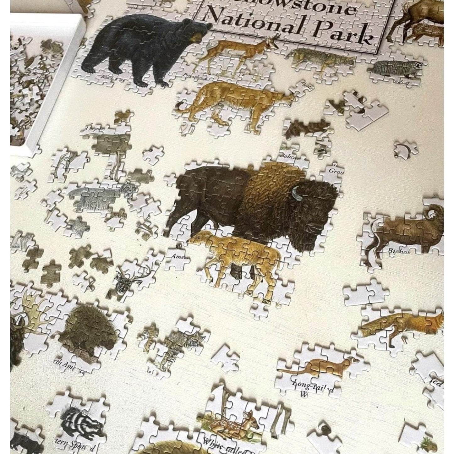 Mammals of Yellowstone National Park 1000 Piece Jigsaw Puzzle - Out of Play
