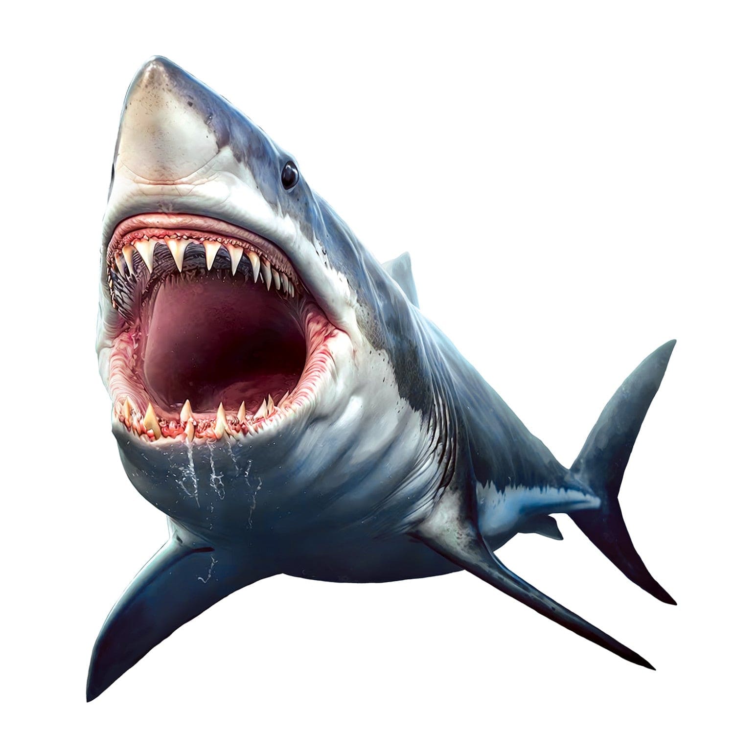 Shark 100 Piece Shaped Jigsaw Puzzle - Out of Play