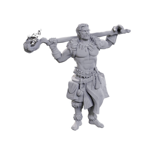D&D Nolzur's Marvelous Miniatures: Archdruid & Martial Arts Adept - Out of Play