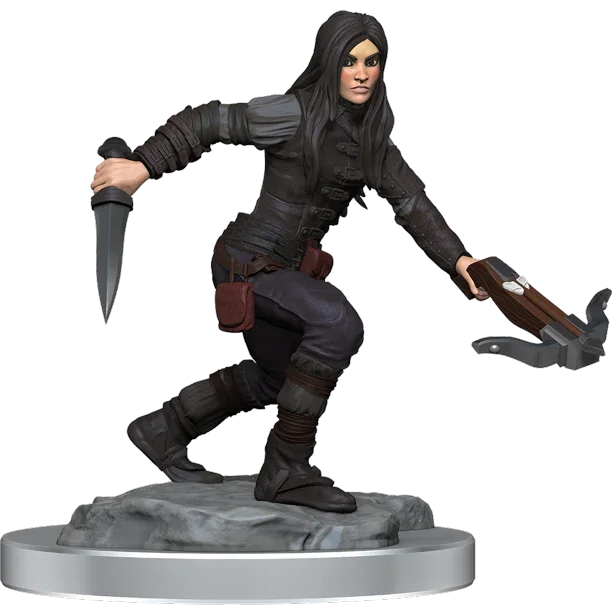 D&D Nolzur's Marvelous Miniatures: Half-Elf Rogue Female - Out of Play