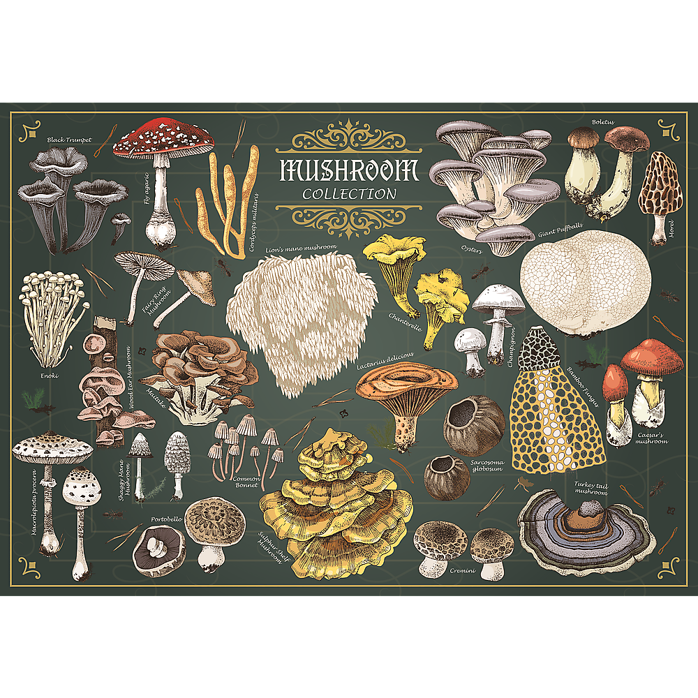 Trefl Premium Plus Finders Keepers Mushrooms 500 Piece Puzzle