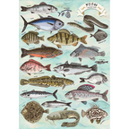 Trefl Premium Plus Finders Keepers Fish 500 Piece Puzzle