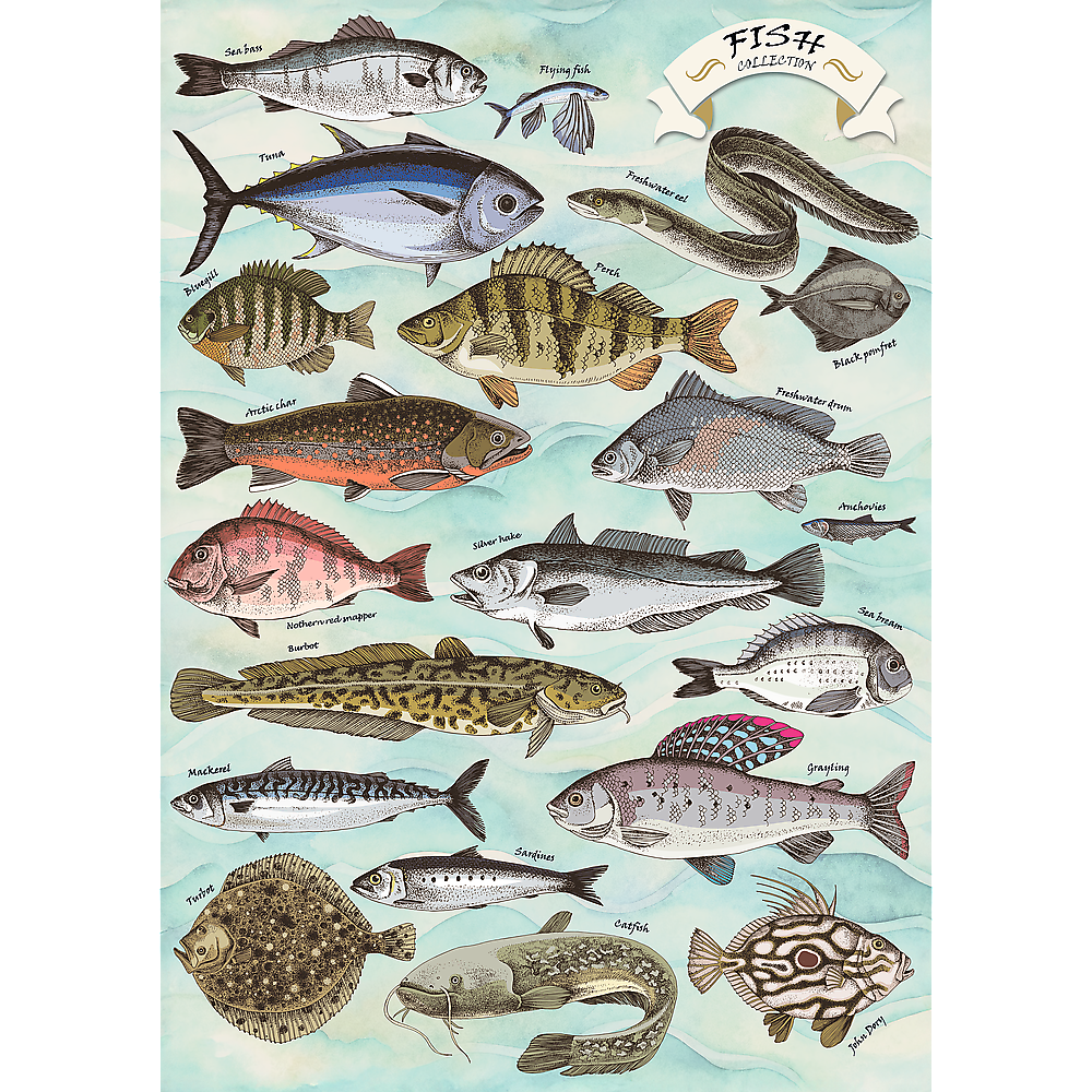 Trefl Premium Plus Finders Keepers Fish 500 Piece Puzzle