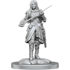 D&D Nolzur's Marvelous Miniatures: Half-Elf Rogue Female - Out of Play