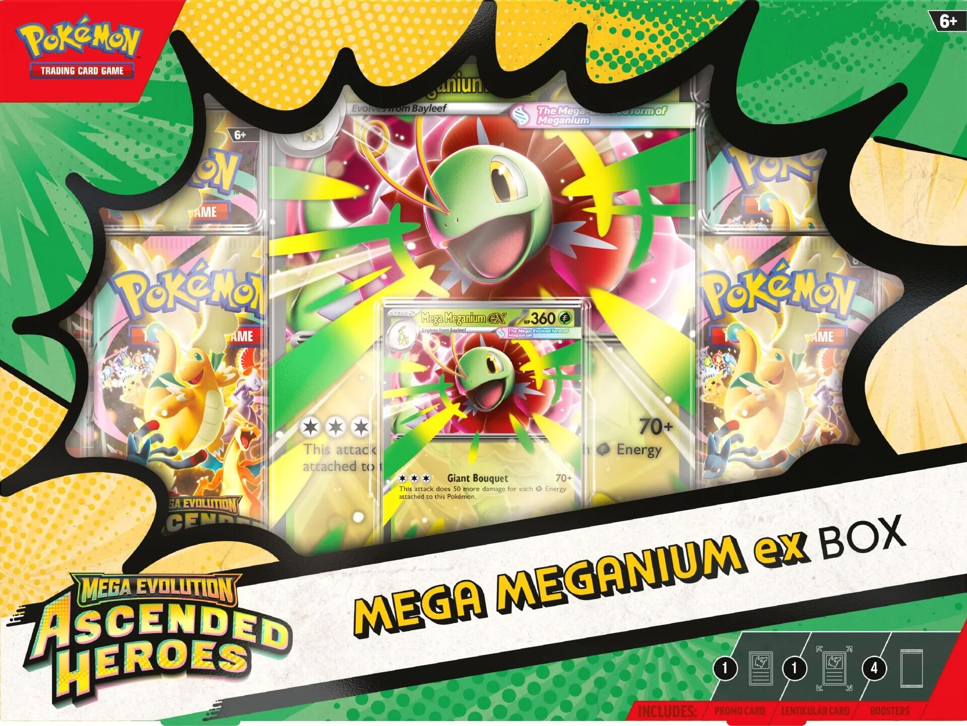 Ascended Heroes Mega Meganium ex Box [ASC]