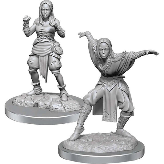 Pathfinder Battles Deep Cuts Minis: Half-Elf Monk Females Wave 21 PunkOuter Games