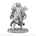 Critical Role Miniatures: Mollymauk Tealeaf & Caduceus Clay - Wave 26 - Out of Play