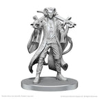 Critical Role Miniatures: Mollymauk Tealeaf & Caduceus Clay - Wave 26 - Out of Play
