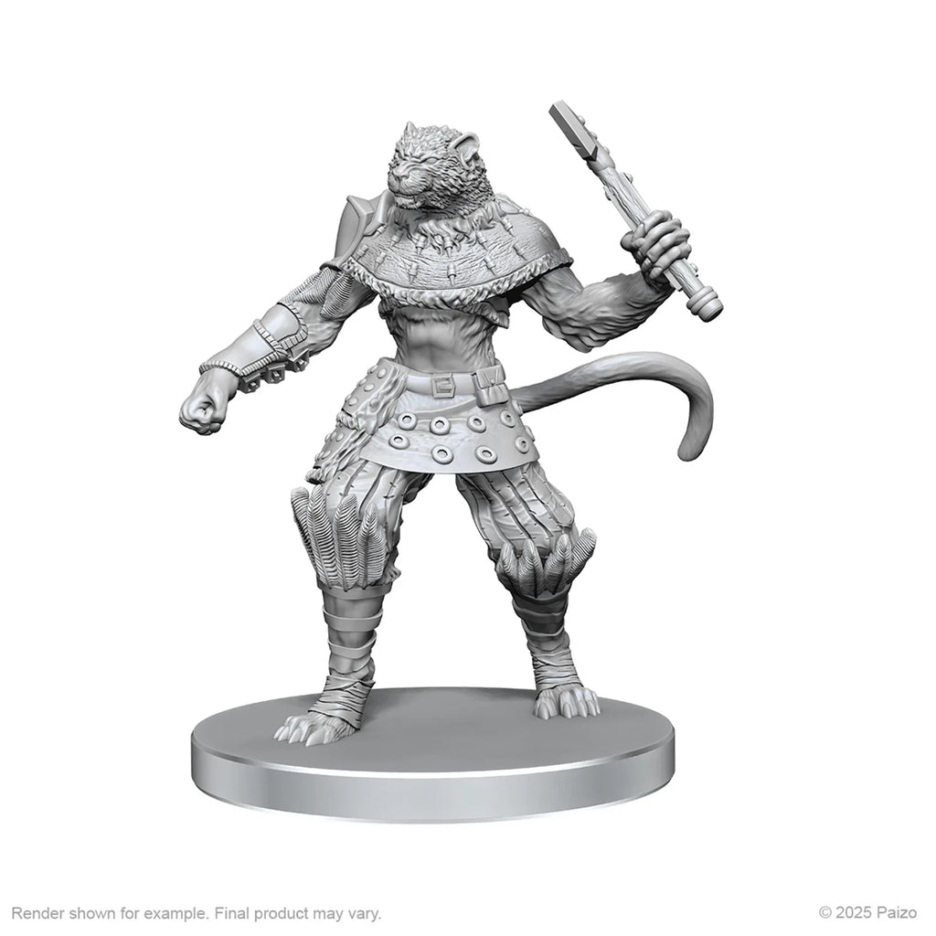 Pathfinder: Deep Cuts - Elf Hunter & Catfolk Bandit - Out of Play