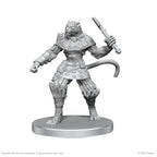 Pathfinder: Deep Cuts - Elf Hunter & Catfolk Bandit - Out of Play