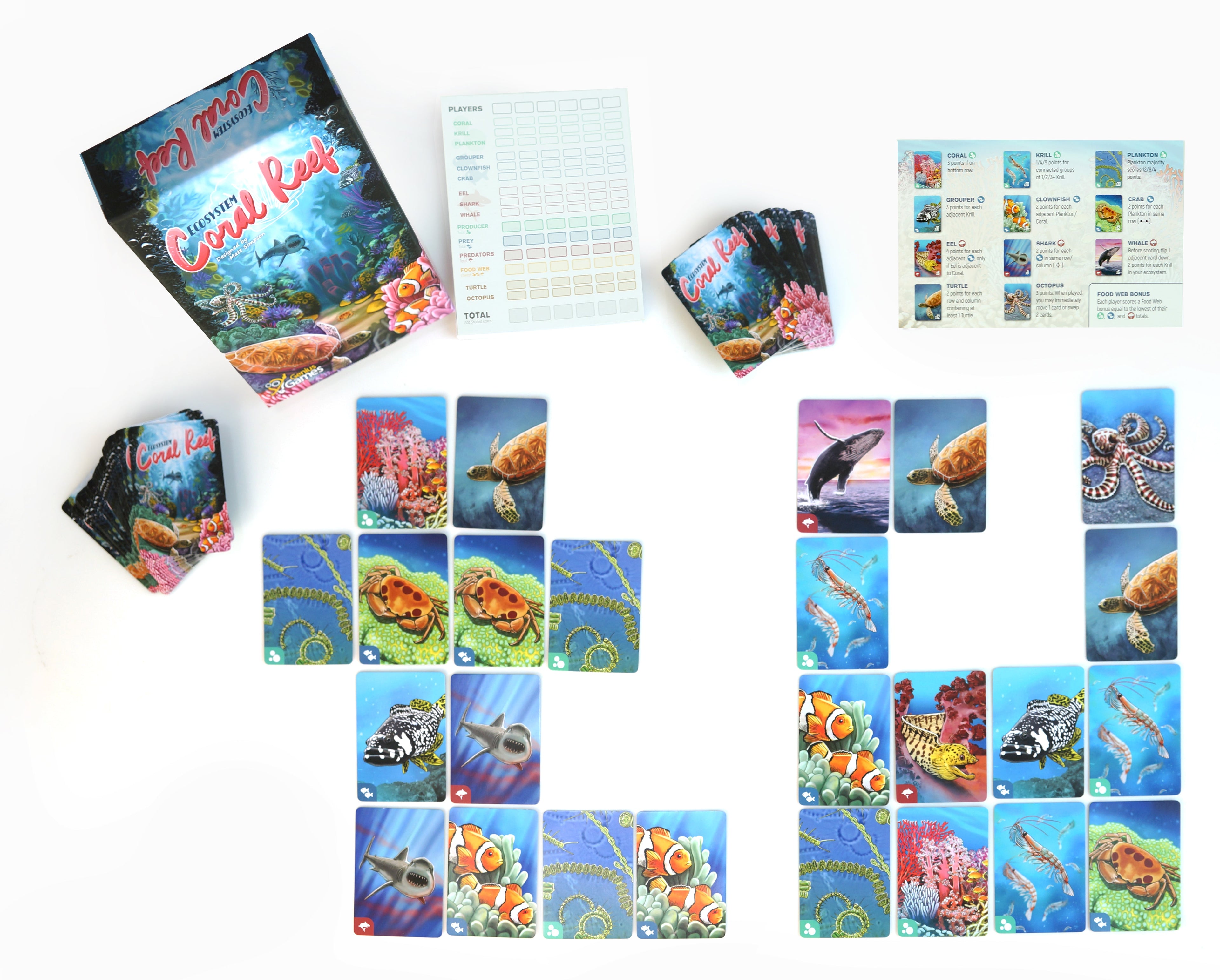 Ecosystem: Coral Reef | MENSA Recommended Family Card Game About Aquatic Animals, Their Habitats, Marine Biology & Food Chain