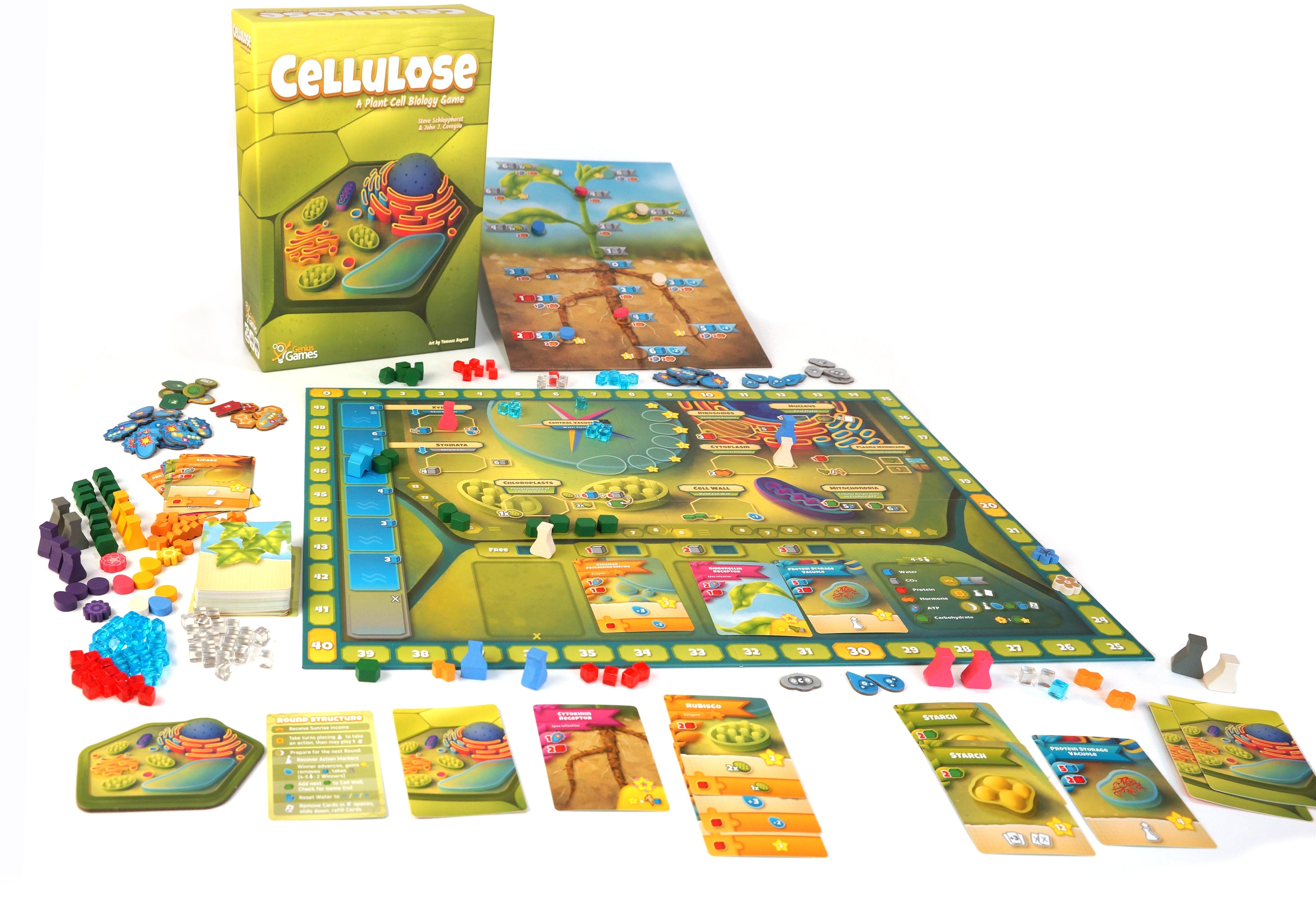 Cellulose: A Plant Cell Biology Game | MENSA Recommended Strategic Board Game About Photosynthesis, DNA & Biochemistry