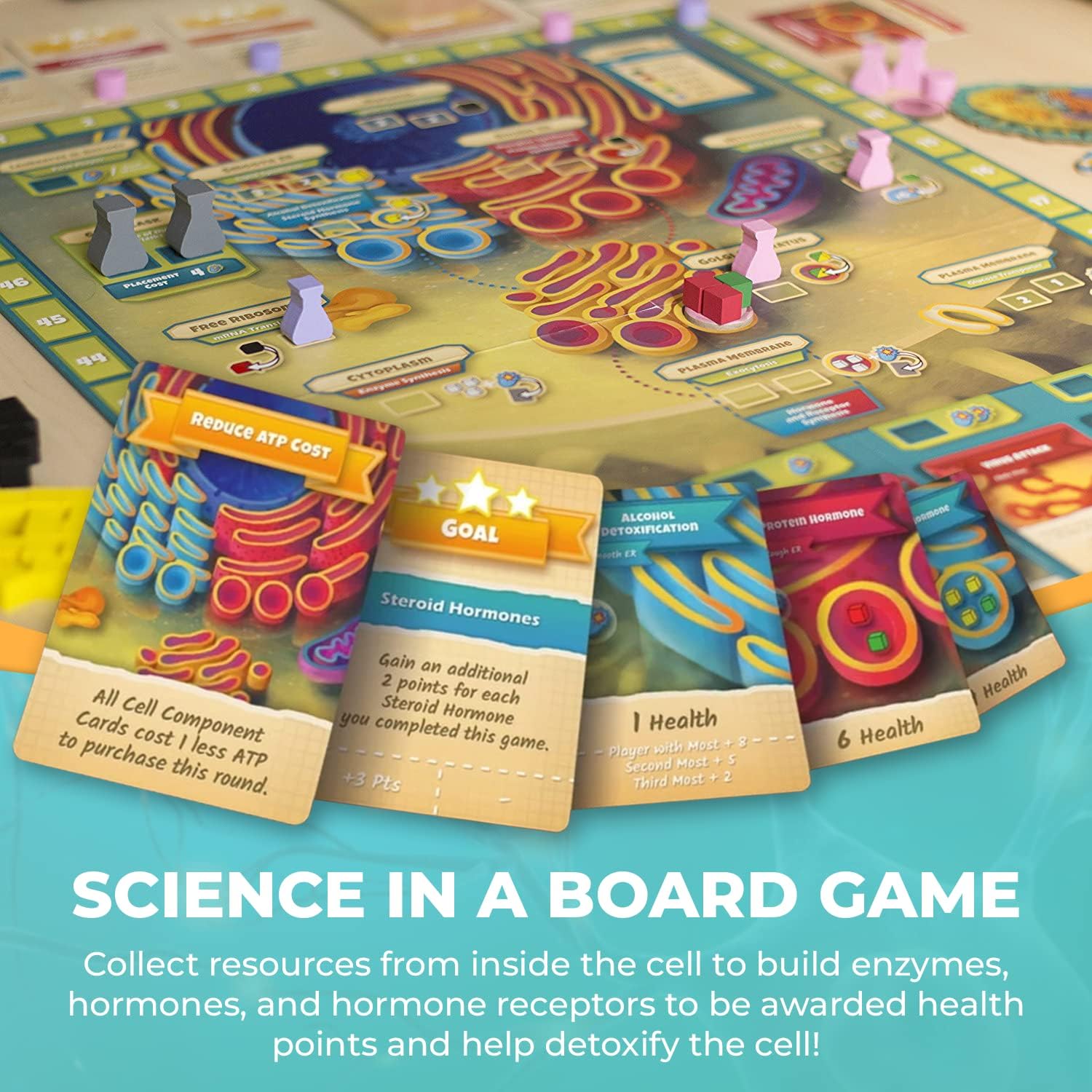 Cytosis: A Cell Biology Game | A Science Accurate Strategy Board Game About Building Proteins, Carbohydrates, Enzymes, Organelles, & Membranes