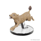D&D: Icons of the Realms - 50th Anniversary Booster - Out of Play
