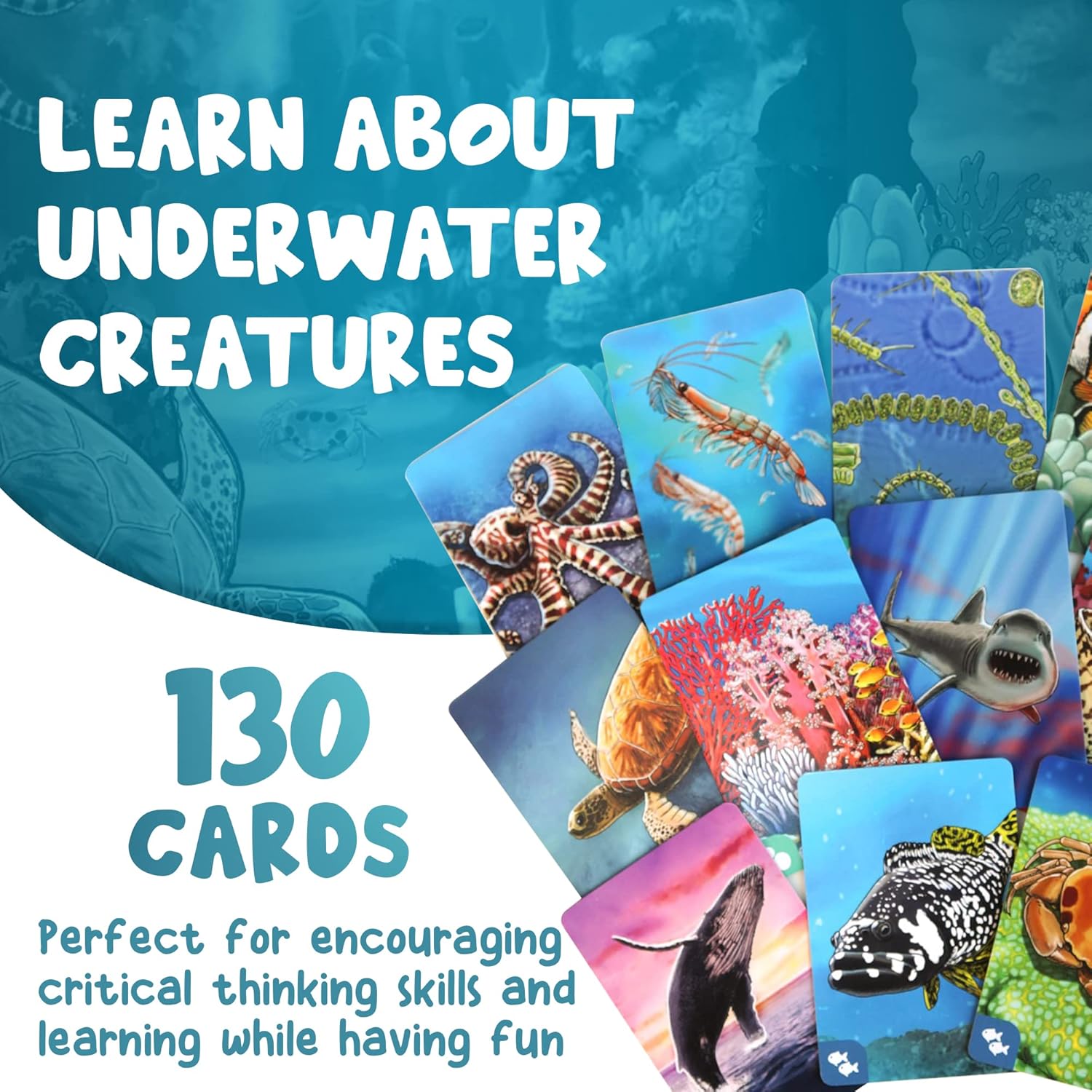 Ecosystem: Coral Reef | MENSA Recommended Family Card Game About Aquatic Animals, Their Habitats, Marine Biology & Food Chain