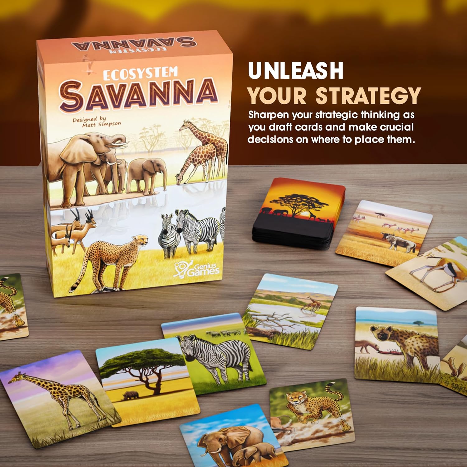 Ecosystem: Savanna | A Family Card Game About Animals on Grassy Woodland of African Savanna