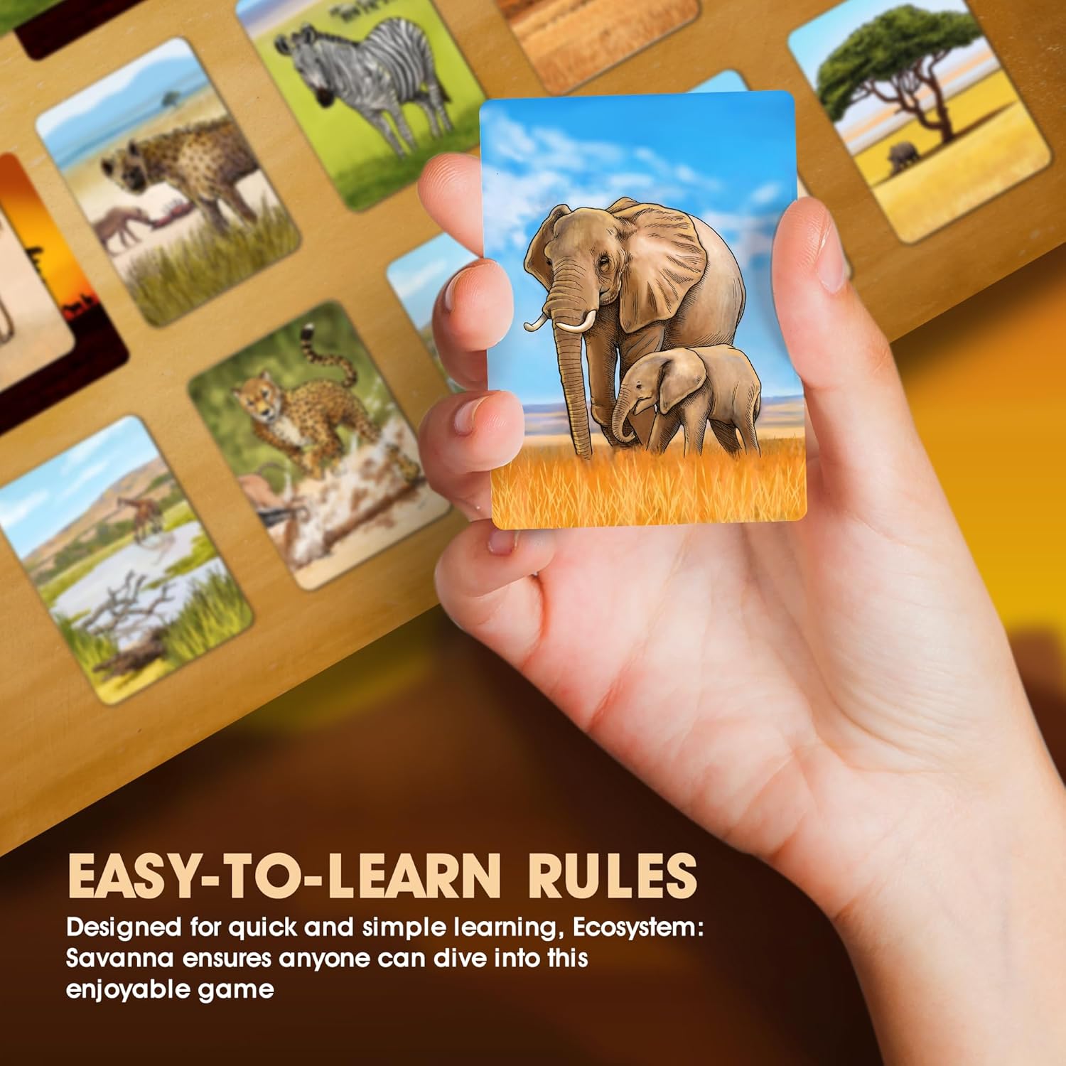 Ecosystem: Savanna | A Family Card Game About Animals on Grassy Woodland of African Savanna