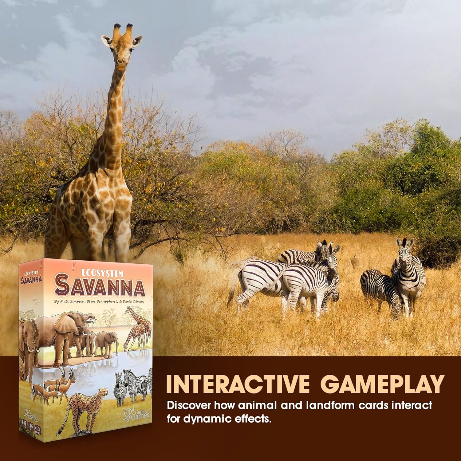 Ecosystem: Savanna | A Family Card Game About Animals on Grassy Woodland of African Savanna