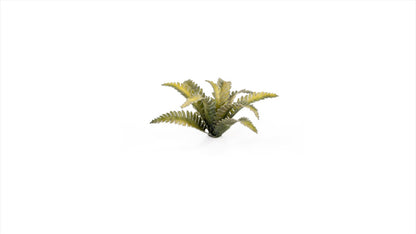 Gamers Grass - Laser Plants - Deer Fern - Out of Play
