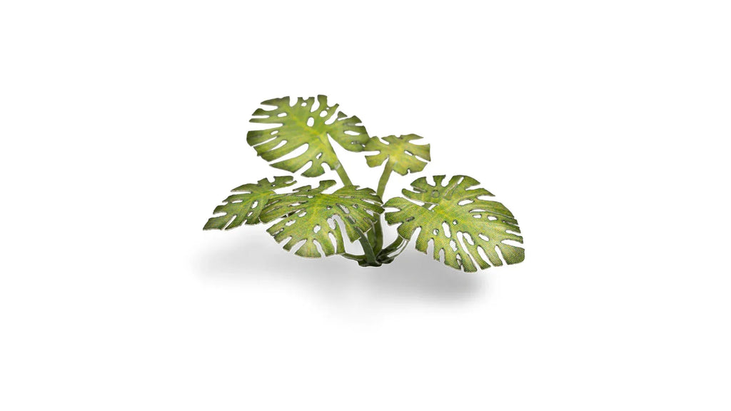 Gamers Grass - Laser Plants - Monstera - Out of Play