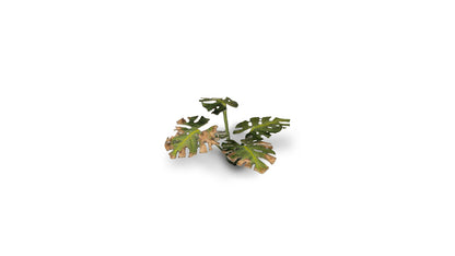 Gamers Grass - Laser Plants - Monstera - Out of Play